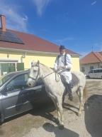 Szüreti felvonulás - 2026